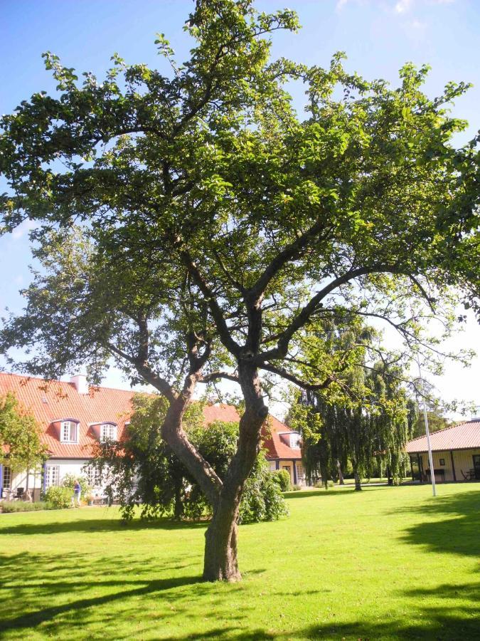 Inspiration Center Denmark, Bed & Breakfast Maribo Bagian luar foto