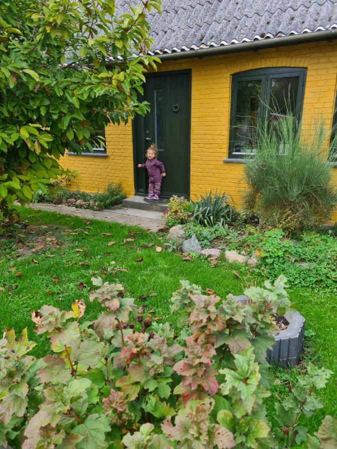 Inspiration Center Denmark, Bed & Breakfast Maribo Bagian luar foto